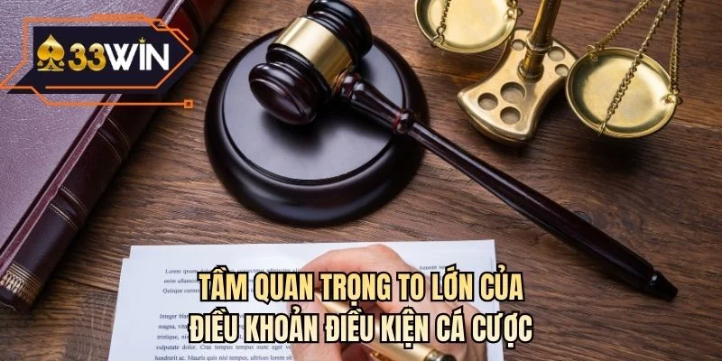 Tầm quan trọng to lớn của điều khoản điều kiện cá cược